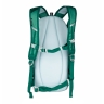 backpack FORCE ECLIPSE 12 l, green