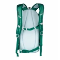 backpack FORCE ECLIPSE 12 l, green