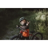 helmet FORCE DROP downhill, green-black