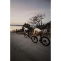 helmet FORCE IBEX MTB, beige, matt