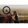 helmet FORCE VENOM downhill, brown