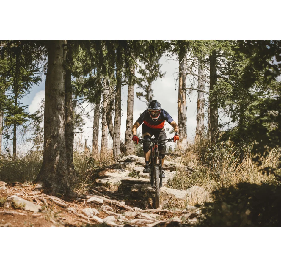 jersey FORCE MTB ANGLE short sl, blue-red