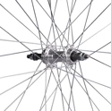 rear wheel FORCE PRIME 559x21,silv.,hub F80429,36h