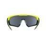 sunglasses FORCE APEX,fl-black, blk contr. lens  