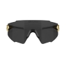 sunglasses FORCE MANTRA gold, black mirror lens