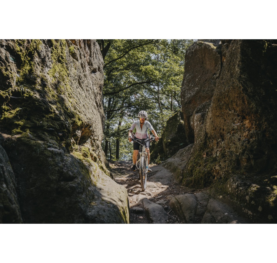 sunglasses FORCE STRIVE transp., pink mirror lens