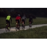 vest FORCE VISION, full back, fluo