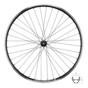 wheel front FORCE CLASSIC 559x19 "V" HBTX500 36sh